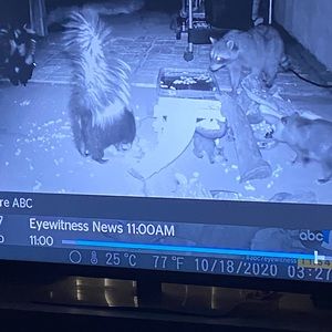 Meet your Posher, Felipe